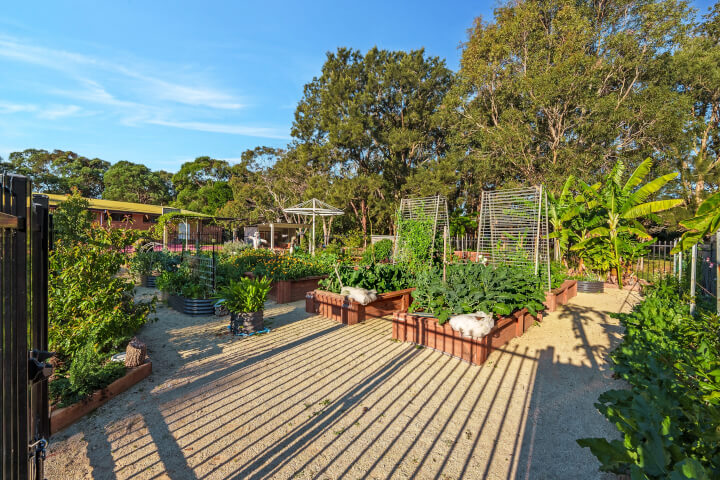Community garden